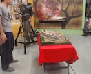 お城のジオラマ模型を番組企画に合わせて製作します ★テレビ番組、報道、CM、イベントなどに イメージ1