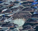人物・動物などをメインに一枚絵の制作を行います 物語性のあるイメージイラストを求めている方へ イメージ3