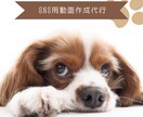 YouTube等SNS投稿用動画作成します ショート動画中心に、貴方のイメージを動画にします イメージ1