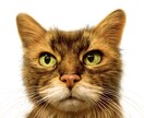 生きているようにリアルなペットの似顔絵を描きます 猫、犬、その他、どんな動物でもご相談ください イメージ1