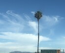 アメリカの風景画像ダウンロードできます アメリカの壮大さ美しさ心地良さが詰まった画像 イメージ4