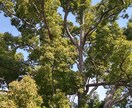 こんな写真をとご要望が頂ける様精進いたします どのような写真がご入り用ですか。 イメージ4