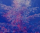オーラカラーをお伝えします 推しのカラーをお伝えして運気アップにつなげます☆ イメージ8