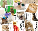 猫や犬、カワイイうちの子LINEスタンプつくります かわいいペットの写真でLINEスタンプをつくりませんか？ イメージ1