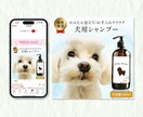 初回限定！お試し価格でご提供いたします 広告バナー、1500円でご提供！ イメージ3