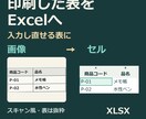 PDF・画像を編集用Excel・Wordにします 10頁まで。元資料と見比べた確認メモ、修正2回付き イメージ1