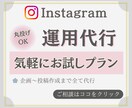 インスタ集客を試したい初心者をサポートします 初めて運用代行を利用する方にオススメのお試しプランです イメージ1