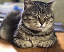 元不登校が悩み相談を聞きます 元不登校でも人生が楽しいと心から思える イメージ1