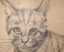 プロの画家がペットの似顔絵描きます 美大を出たプロの画家があなただけのペットの似顔絵描きます。 イメージ2