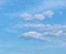 自然を感じられる写真を撮ります 幸せが広がる、笑顔があふれる気持ちになりますように イメージ6