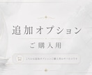 追加オプションご購入用となります 別途出品中サービスの追加購入用です イメージ1