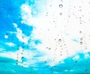 愛しいペットのお気持ちを視て貴方様にお伝えします ペットの気持ち何を想っているか✨ペットロス✨猫ちゃんタロット イメージ8