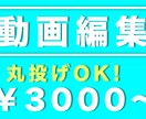 Youtubeなどの動画編集いたします バラエティ風・MV・広告などジャンルは問いません! イメージ1