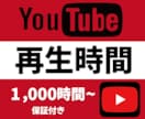Youtube再生時間1000時間増加宣伝します 保証制度ありで安心！ユーチューブ収益化条件にもあります！ イメージ1