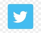 Instagram /Twitter運用代行します アパレル経営者が IG・Twitter運用代行致します。 イメージ2