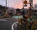 四柱推命であなたの強みや気になる人との相性みます キャリアカウンセラー、人事経験と四柱推命鑑定でお悩み相談！ イメージ1