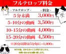 面倒なテロップ作成代行いたします 『面倒な文字入れを、貴方に変わり代行いたします!』 イメージ3