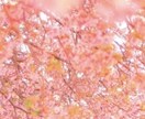 恋愛全般拝見させて頂きます 片思い、復縁、不倫様々な恋愛、前を向けるようにします。 イメージ1