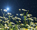 星からのメッセージを、ハーブの力で現実に活かします ⭐︎『宇宙とつながる星座別ハーブの魔法』を読まれた方へ⭐︎ イメージ2
