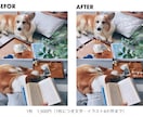 写真に手書き文字をお入れします SNS投稿をもっと可愛くおしゃれに イメージ4