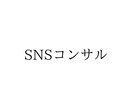 SNSヒヤリングします SNS運用・開発ツールヒヤリングのための出品となります。 イメージ1