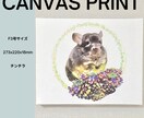 小動物のリアルイラスト作成いたします 【ハムスター、チンチラ、うさぎ、鳥類、爬虫類など】 イメージ4