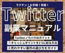 簡単Twitter副業マニュアル完全版を提供します 何かをしながらの実践で、最速で成果を出すラクチン副業！！ イメージ1