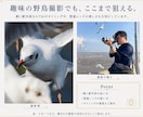 写真・動画の撮り方の悩みに答えます 初心者〜中級者向け、実践ベースでご案内 イメージ5