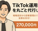 TikTok運用を丸ごと代行します 戦略設計から投稿管理まで全部お任せ！ イメージ1
