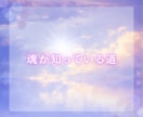 自己肯定感/親子関係/生き辛さの悩みから開放します あなたの心を癒すインナーチャイルド・タロットリーディング イメージ6