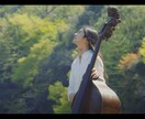YouTubeやSNSなどにも！動画編集いたします 企画、編集、コーディングまで承ります イメージ5