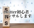 Twitter初心者の方１週間コンサルします Twitterの運用のポイントを分かりやすくお伝えします。 イメージ1