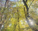 誰にも言えない悩みなんでも聴きます 様々な経験から、あなたの悩みを解決に導きます イメージ1