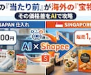 ツール付！AI×Shopee輸出の稼ぎ方教えます 円安を味方に！AIとツールで月5万稼ぐシンガポール輸出 イメージ6