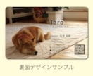 本物そっくり！ペットのオリジナル免許証を作ります 嬉しい2枚セット！丈夫なプラスチック製オリジナルペット免許証 イメージ4