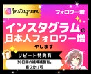 インスタグラムの日本人フォロワー500人増やします インスタ｜Instagram｜日本人｜宣伝｜拡散｜匿名｜特典 イメージ1