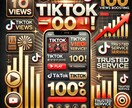 TikTok1000000回再生させます 世界中のユーザーに宣伝して再生回数を100万回増加します。 イメージ1