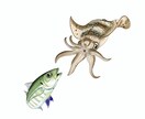 リアルで可愛い生き物イラスト描きます 下書きまで無料⭐︎イメージにご納得いただいてから購入できます イメージ10