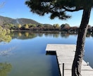 京都記事を取材・撮影・構成から一括制作します 京都観光15年、現地取材・写真撮影・記事制作まで対応 イメージ8