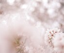 意中のお相手の惹きつけ方をお教えします 具体的で実践しやすいアドバイスをチャット形式で行います イメージ1