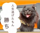 あなたに喝を入れます あなたに話す勇気はあるのか！おまちしてます！ イメージ1