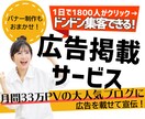 月間33万PVの人気ブログに、広告を掲載します 訳アリだから安い！バナー制作費込みで【3000円】ポッキリ イメージ7