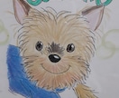 大好きな愛犬の似顔絵を描きます 暖かみのある色づかいで優しい感じに仕上げます。 イメージ1
