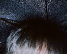 どんな悩みでも相談に乗りたいと思います まだ18歳ですので若い方からの相談は得意です。 イメージ1