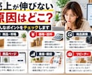 EC歴17年の経験でECショップを改善します 月商5000万円規模の運営経験から改善策を提案します イメージ2