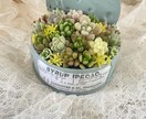 多肉植物の寄せ植え方を教えます 可愛い寄せ植えの仕方をオンラインで教えます。 イメージ2