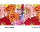 AIで小さな写真を、大きく鮮明にします 切り抜き写真や小さな写真を大きくしませんか？ イメージ2