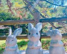 恋愛についてシンプルに占います ※不倫についての占いはいたしません イメージ1