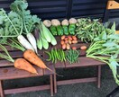 プロの有機農家が野菜のつくり方を教えます 家庭菜園で上手く野菜をつくれない方や野菜栽培に興味のある方へ イメージ6