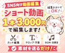 SNS向けショート動画を1本編集します カット・テロップ・BGM込み／1本3,000円 イメージ1